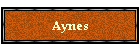 Aynes