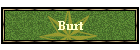 Burt