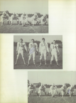 Perrin1954-0072.jpg (4295663 bytes)